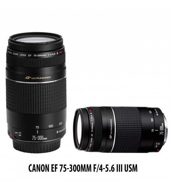 Canon Ef 75 300mm F 4 5 6 Iii Usm