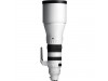 Sigma 300-600mm f/4 DG OS Sports Lens (Sony E)
