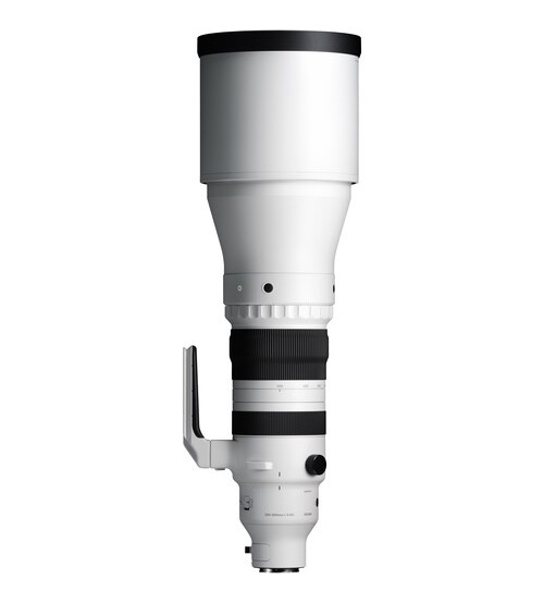 Sigma 300-600mm f/4 DG OS Sports Lens (Sony E)