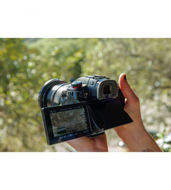 harga lumix gh6